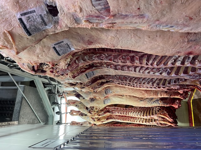 Exportación